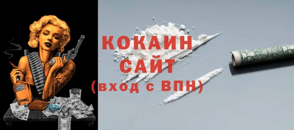 сатива Каменногорск