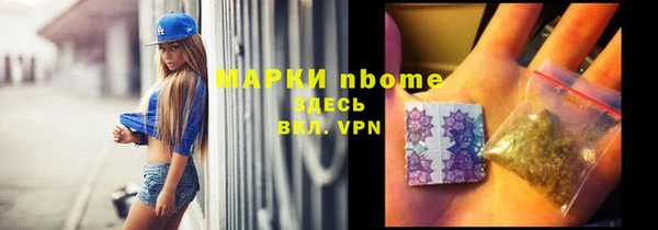 сатива Каменногорск