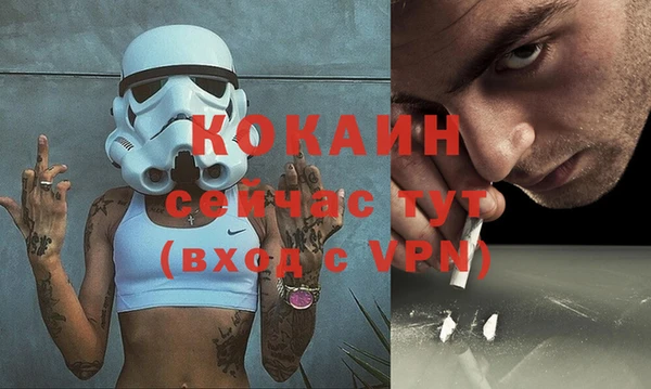 сатива Каменногорск