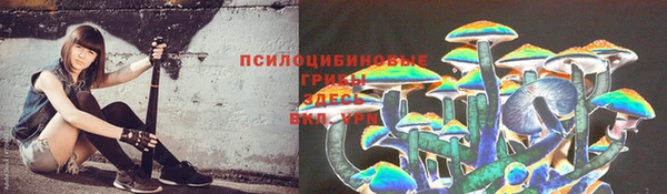 спиды Каменка