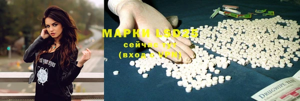 спиды Каменка